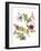 Floral Field Notes III-Melissa Wang-Framed Art Print