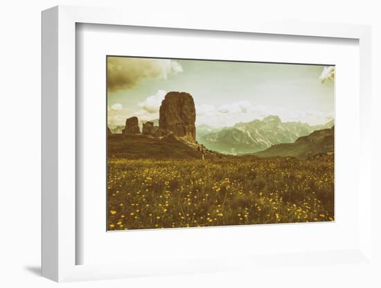Floral Fields-Aledanda-Framed Photographic Print