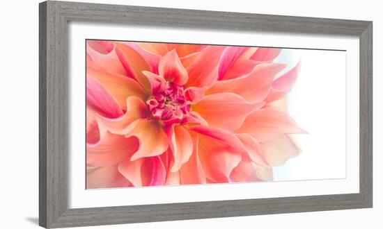 Floral Flames I-Doug Chinnery-Framed Photographic Print