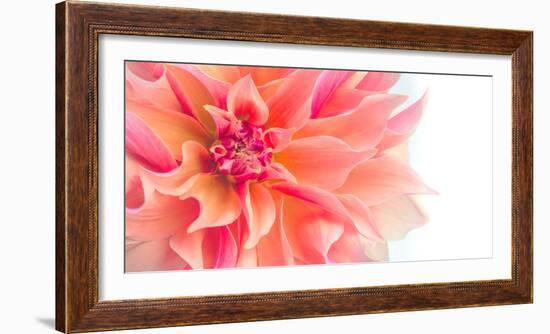 Floral Flames I-Doug Chinnery-Framed Photographic Print