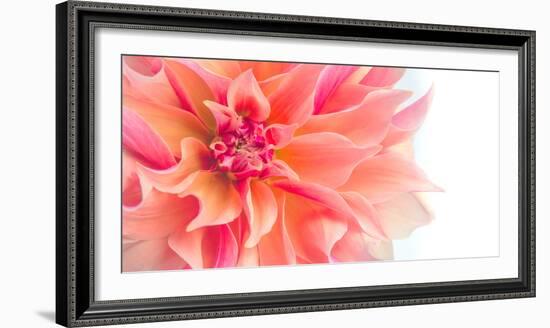 Floral Flames I-Doug Chinnery-Framed Photographic Print