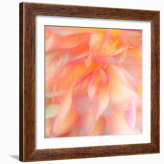 Floral Flames II-Doug Chinnery-Framed Photographic Print