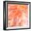 Floral Flames II-Doug Chinnery-Framed Photographic Print