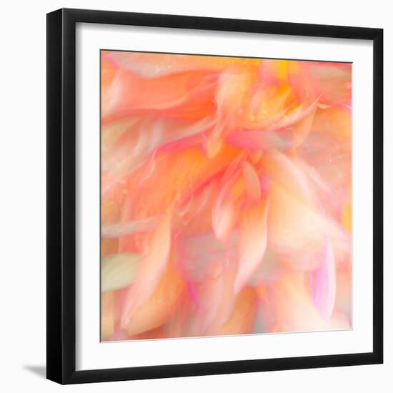 Floral Flames II-Doug Chinnery-Framed Photographic Print