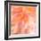 Floral Flames II-Doug Chinnery-Framed Photographic Print