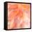 Floral Flames II-Doug Chinnery-Framed Premier Image Canvas