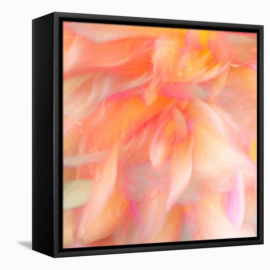 Floral Flames II-Doug Chinnery-Framed Premier Image Canvas