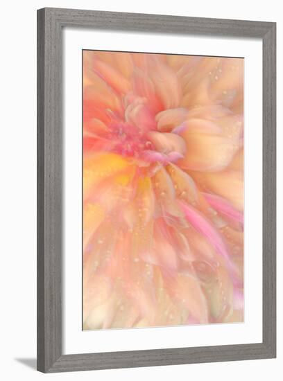 Floral Flames III-Doug Chinnery-Framed Photographic Print