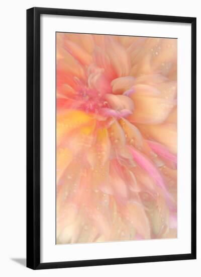 Floral Flames III-Doug Chinnery-Framed Photographic Print