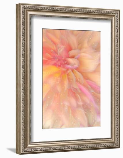 Floral Flames III-Doug Chinnery-Framed Photographic Print