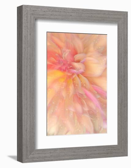 Floral Flames III-Doug Chinnery-Framed Photographic Print