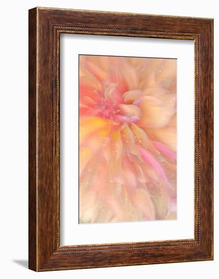 Floral Flames III-Doug Chinnery-Framed Photographic Print