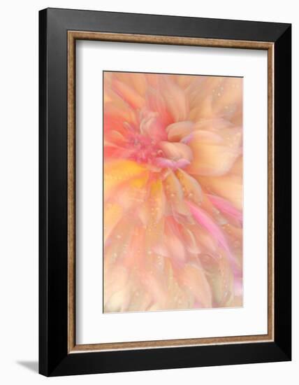 Floral Flames III-Doug Chinnery-Framed Photographic Print