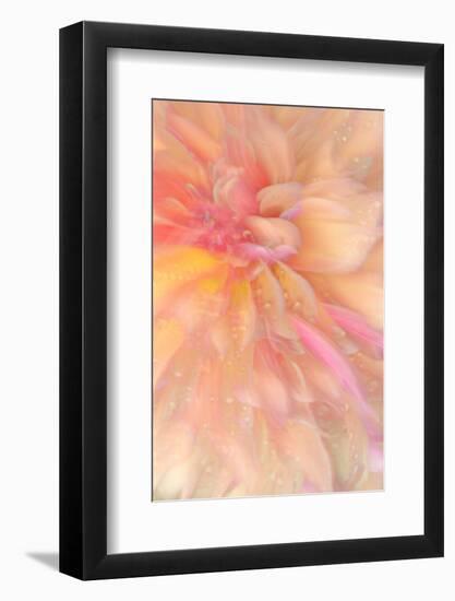 Floral Flames III-Doug Chinnery-Framed Photographic Print