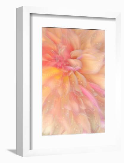 Floral Flames III-Doug Chinnery-Framed Photographic Print