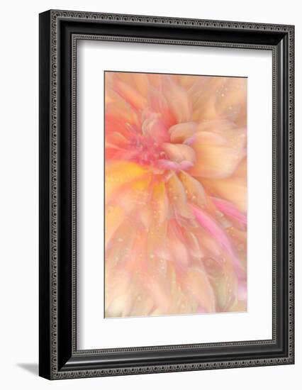 Floral Flames III-Doug Chinnery-Framed Photographic Print