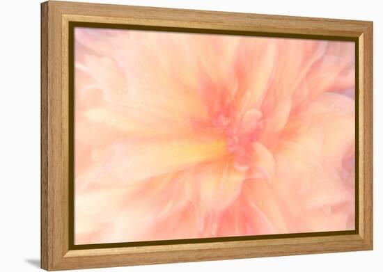 Floral Flames IV-Doug Chinnery-Framed Premier Image Canvas