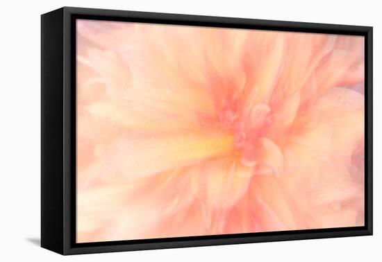 Floral Flames IV-Doug Chinnery-Framed Premier Image Canvas