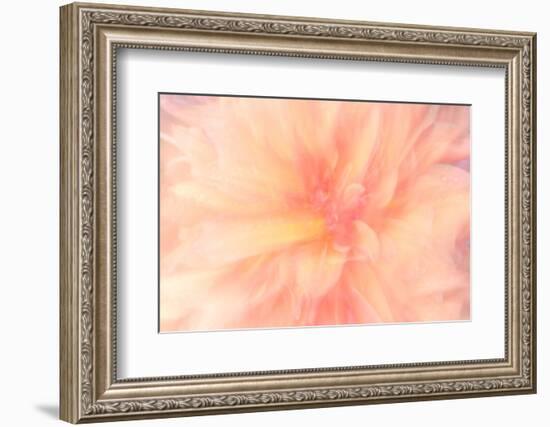 Floral Flames IV-Doug Chinnery-Framed Photographic Print