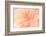 Floral Flames IV-Doug Chinnery-Framed Photographic Print