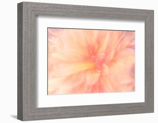 Floral Flames IV-Doug Chinnery-Framed Photographic Print