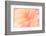 Floral Flames IV-Doug Chinnery-Framed Photographic Print