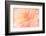 Floral Flames IV-Doug Chinnery-Framed Photographic Print