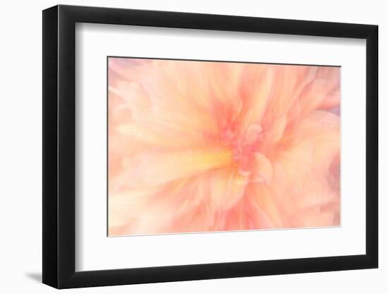 Floral Flames IV-Doug Chinnery-Framed Photographic Print
