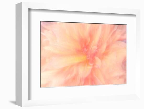 Floral Flames IV-Doug Chinnery-Framed Photographic Print