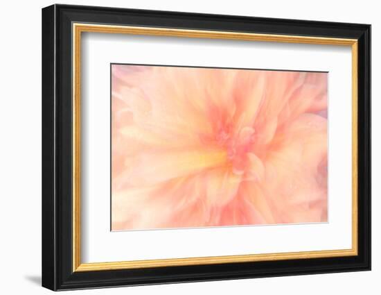 Floral Flames IV-Doug Chinnery-Framed Photographic Print