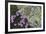 Floral Flurry-Wild Wonders of Europe-Framed Giclee Print