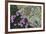 Floral Flurry-Wild Wonders of Europe-Framed Giclee Print