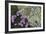 Floral Flurry-Wild Wonders of Europe-Framed Giclee Print