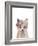 Floral Fox-Leah Straatsma-Framed Art Print