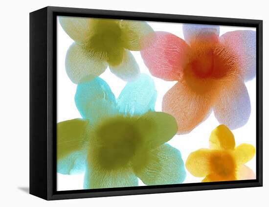 Floral Friends I-Hannah Carlson-Framed Stretched Canvas