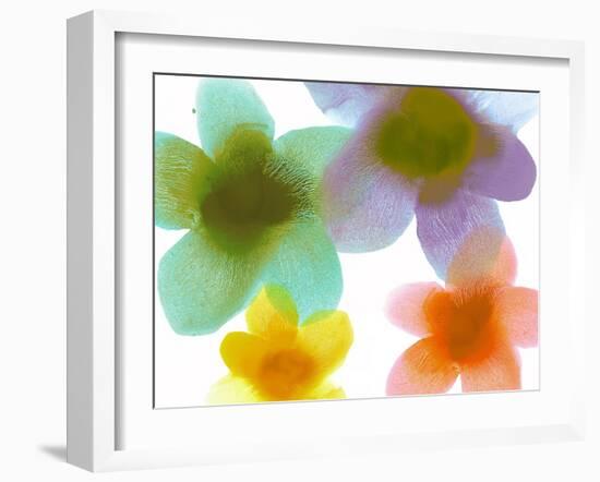 Floral Friends II-Hannah Carlson-Framed Art Print
