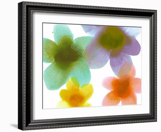 Floral Friends II-Hannah Carlson-Framed Art Print