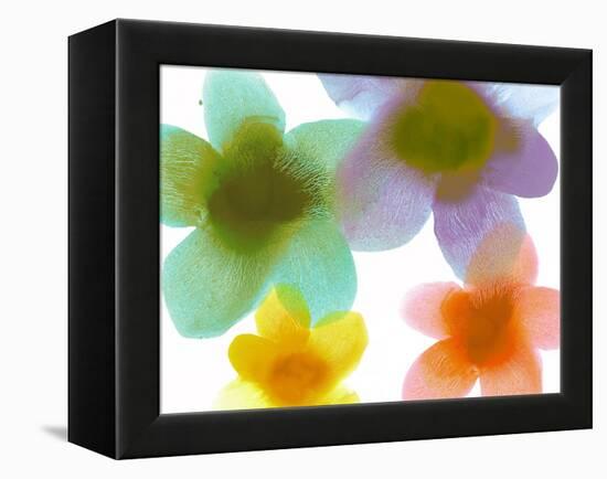 Floral Friends II-Hannah Carlson-Framed Stretched Canvas