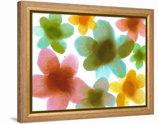 Floral Friends III-Hannah Carlson-Framed Stretched Canvas