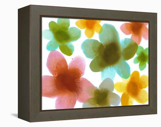 Floral Friends III-Hannah Carlson-Framed Stretched Canvas