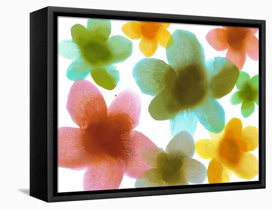 Floral Friends III-Hannah Carlson-Framed Stretched Canvas