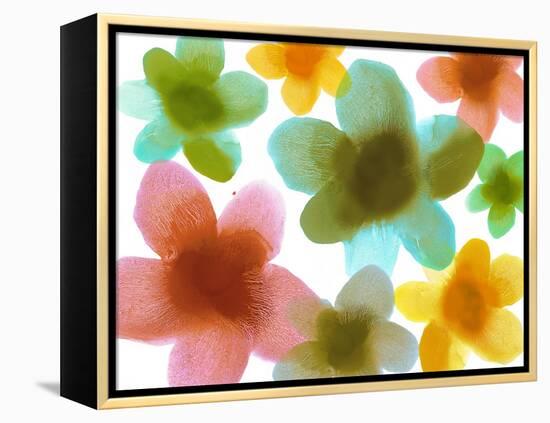 Floral Friends III-Hannah Carlson-Framed Stretched Canvas