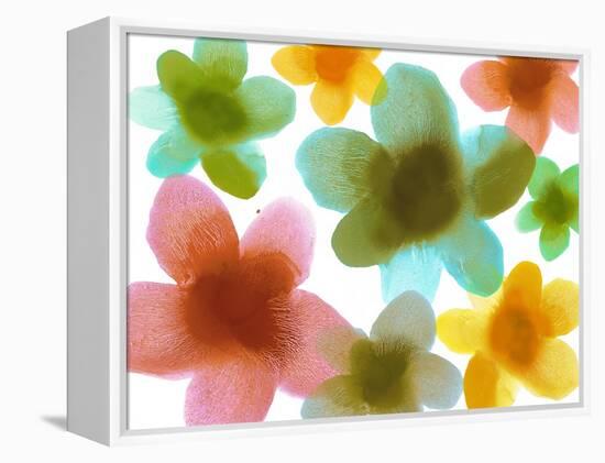 Floral Friends III-Hannah Carlson-Framed Stretched Canvas