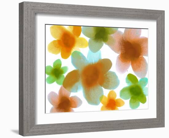 Floral Friends IV-Hannah Carlson-Framed Art Print