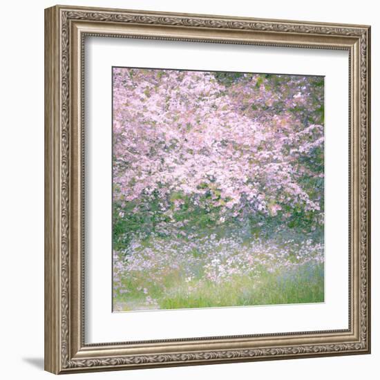 Floral Froth I-Doug Chinnery-Framed Premium Photographic Print