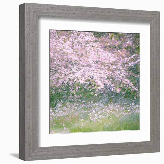 Floral Froth I-Doug Chinnery-Framed Premium Photographic Print