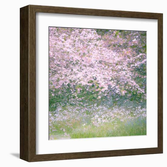 Floral Froth I-Doug Chinnery-Framed Premium Photographic Print