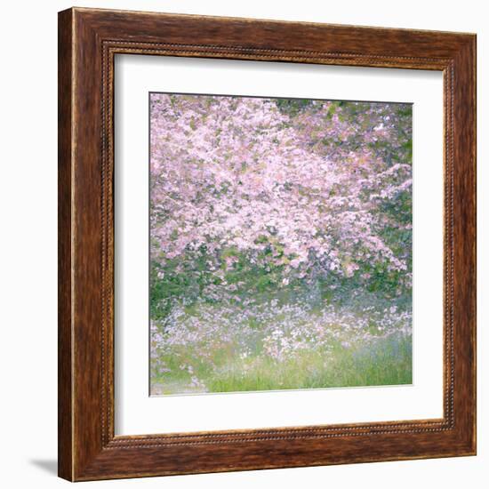 Floral Froth I-Doug Chinnery-Framed Premium Photographic Print