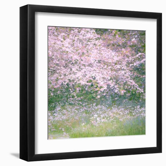 Floral Froth I-Doug Chinnery-Framed Premium Photographic Print