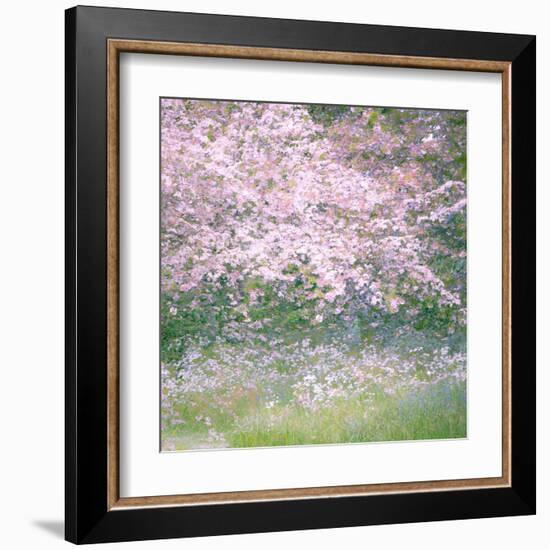 Floral Froth I-Doug Chinnery-Framed Premium Photographic Print